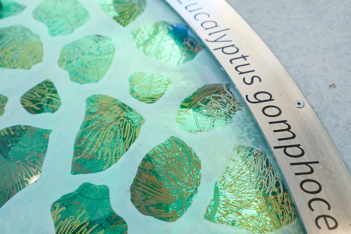 Pam Gaunt Hamersley Public Golf Course&nbsp;Artwork Reality & Illusion from driving range